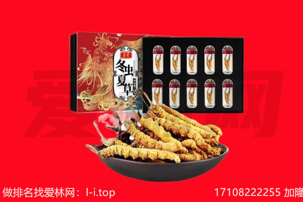宝鸡市麟游回收虫草.jpg